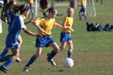 IMG_3993.jpg