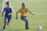 IMG_4044.jpg