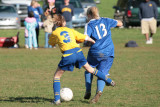 IMG_4100.jpg