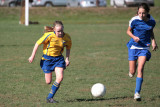 IMG_4341.jpg