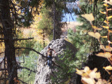 100_2648.jpg
