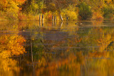 Autumn Reflections