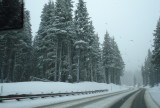 Ascending Timberline Access Road, Mt. Hood