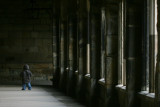 The Boy in the Cloisters