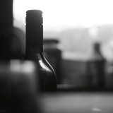 June 20  2008: <br> Empty Bottles