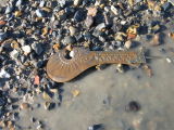 Artifact on river bed at low tide.