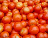 Red Tomatoes