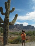 Saguaro & Boy