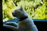 20060922 / Candid