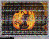 200910311337.jpg