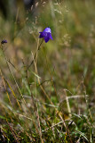 _MG_0175.jpg