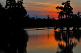 Sunset in the Louisiana Swamps