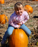 IMG_2199b.jpg