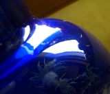 Blue Vase Reflection<br>10-5-06