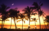 Maui Moonlight