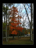 2009 - Sunnybrook Park