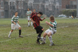 IMG_8478_1_1.jpg
