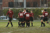 IMG_8537_1_1.jpg