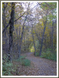 October 22 - Autumn Woods