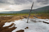 dead valley