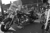 Harley
