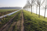 Countryroad on  the Amsterdam-Rijn canal