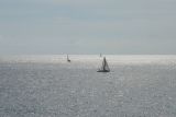 IMG_2805.JPG