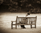 Quiet seat...