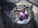 14 July - Nnnnggghhh...