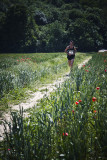 Orpington 10k run - a field in Farnborough