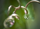 9 July - Rain....