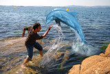 Dolphin-play.jpg
