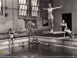 Diver-Original.jpg