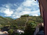 Our view of a hillside vineyard.