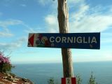 This way to Corniglia!