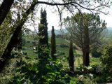 The view from the terrace of our Tuscan agriturismo!