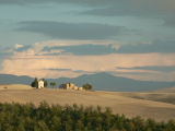 Tuscan vista