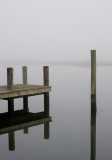 FOGGY DAYS AT THE SHORE