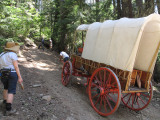 Wagon Train 2009_-6.jpg