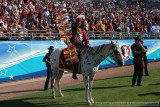 Chief Osceola - the FSU mascot