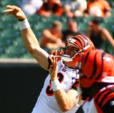 NFL Cincinnati Bengals QB Carson Palmer