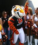 Cincinnati Bengals mascot Who-Dey