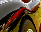 Austin-Healey Conclaves
