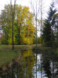 Pond in October forest