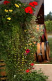Floral Barrels