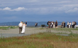 Beach Wedding