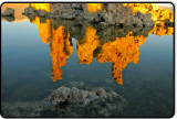 Mono Lake Reflection