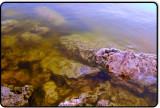 Edge of Mono Lake