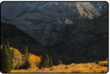 Along the June Lake Loop