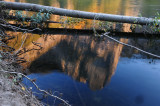 Reflections in the Merced River, Yosemite